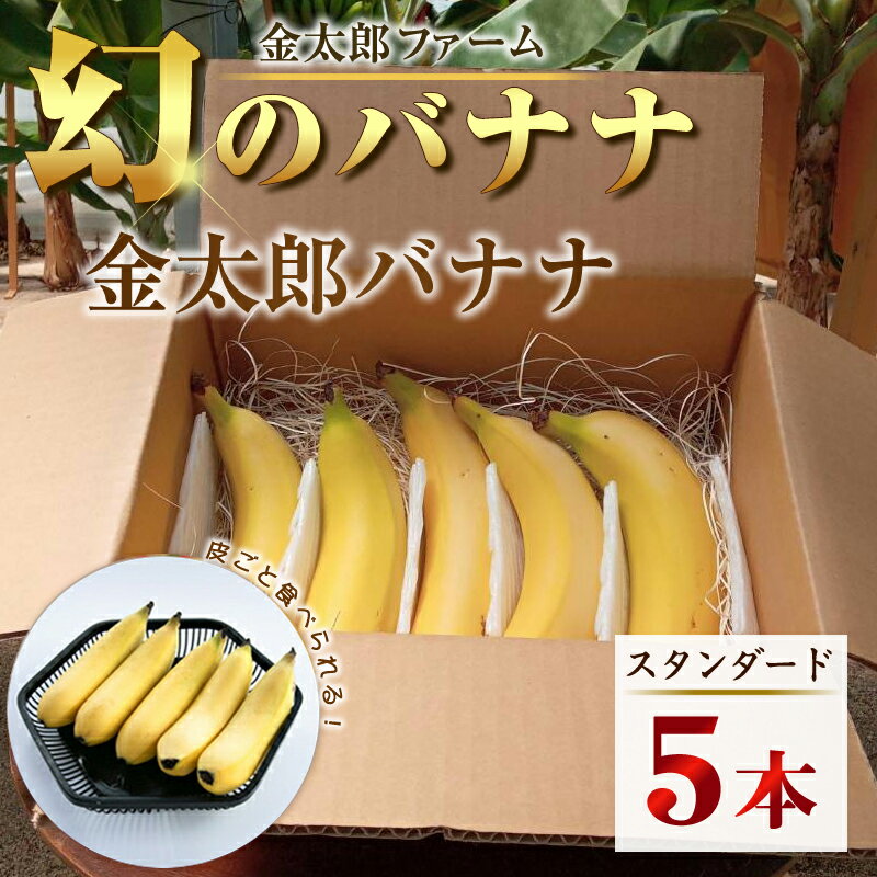 南足柄産国産バナナ スタンダード（栽培期間中農薬不使用）5本セット＜出荷開始：2023年11月～＞【ギフト プレゼント 贈り物 お返し おいしい 金太郎バナナ 果物 くだもの フルーツ お歳暮 お中元 神奈川県 南足柄市 】