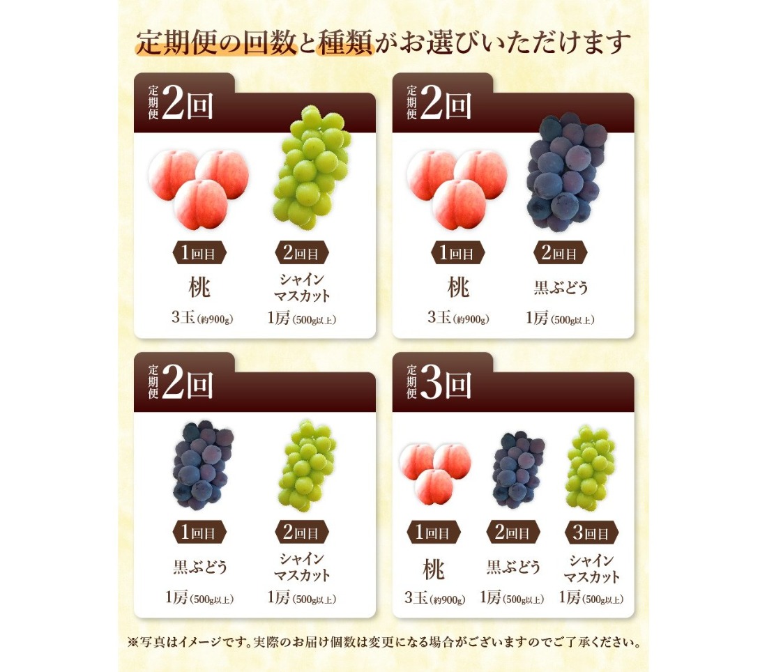 【2025年発送】【 選べる定期便 】 厳選 旬のフルーツ定期便 シャインマスカット 桃 黒ぶどう 果物 フルーツ くだもの 旬 もも ぶどう 高級 山梨 富士吉田 フルーツ 富士吉田市