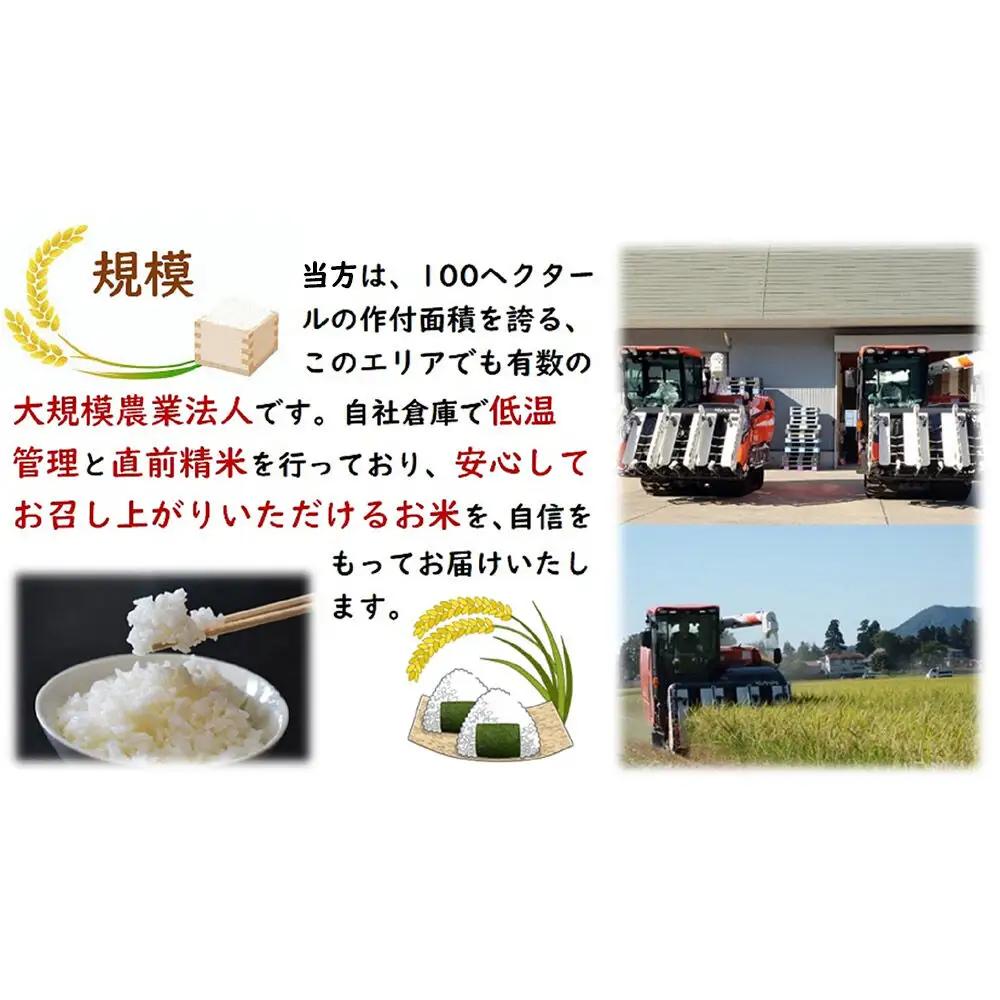米 令和7年産 秋田県産あきたこまち 一等米 農家直送 無洗米5kg 内小友ファーム