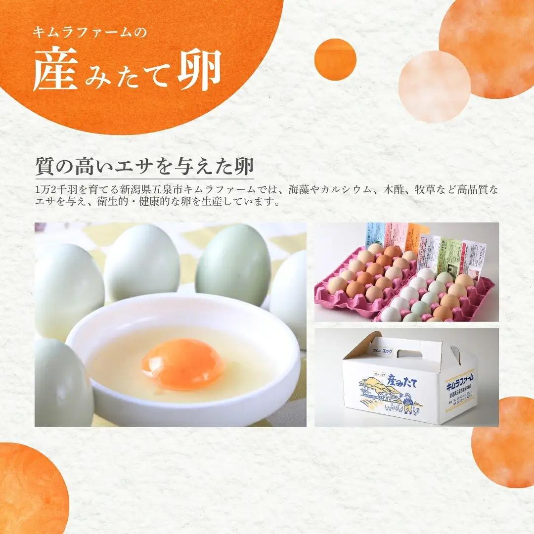 卵 6色たまご詰合せ 30個 産みたて キムラファーム | 新潟県 五泉市 たまご 玉子 鶏卵 ギフト