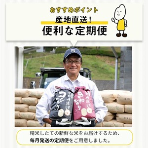 【定期便】 米 6kg 3ヶ月 京都丹波米 こしひかり 白米 3回定期便 6kg （2kg×3袋） × 3回 計18kg ※精米したてをお届け《小分け 小袋 チャック付 米・食味鑑定士 厳選 コシヒカ
