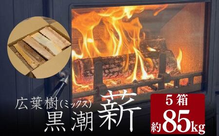 【 薪 】 5箱 約85kg コース 薪 乾燥薪 黒潮薪 まき ［1605-2］