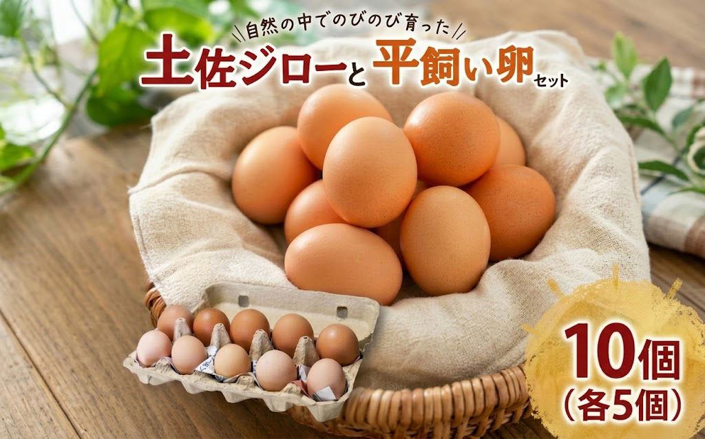 土佐ジローの卵と平飼い卵 セット 各5個(10個×1パック) 合計10個 | たまごのおくだ 新鮮 土佐ジロー 平飼い 卵 たまご 10個 鶏卵 卵黄 エッグ たまごかけ ご飯 玉子 タマゴ 玉子焼き