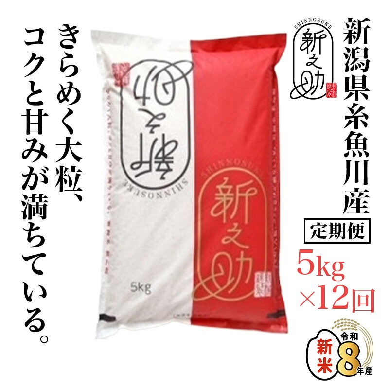 【ふるさと納税】令和8年産 新米予約『新之助』5kg×12回 計60kg【12ヶ月定期便】毎月お届け 【新潟県糸魚川産 農家直送便 2026年 白米 しんのすけ 12か月 1年 あぐ里能生 食品 人気 おすすめ ギフト 新潟県の新ブランド米 産地直送 精米 米 こめ】