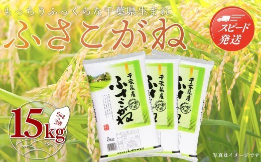 【最短2～7営業日出荷】令和7年産 千葉県産「ふさこがね」15kg（5kg×3袋） お米 15kg 千葉県産 大網白里市 ふさこがね 米 精米 こめ 送料無料 A048