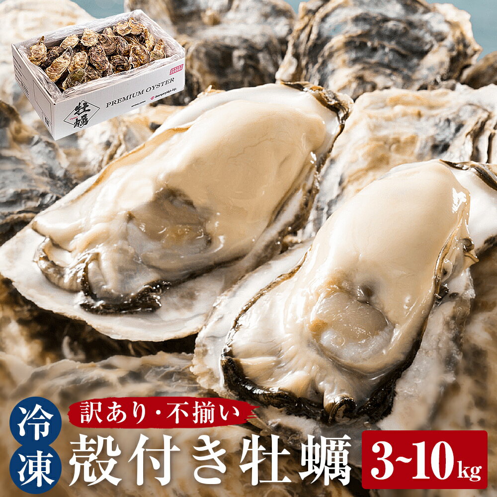 【ふるさと納税】《選べる内容量》〈 訳あり 〉冷凍 殻付き 牡蠣 3kg 5kg 10kg 三陸産 不揃い わけあり カキ かき 加熱用 カンカン焼き ガンガン焼き 蒸し牡蠣 カキ 真牡蠣 BBQ 浜焼き 新鮮 海鮮 魚介 国産 取り寄せ グルメ 急速冷凍 宮城 石巻 宮城県 石巻市