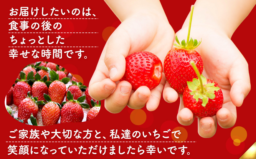 【ふるさと納税／先行予約】OneBerry いちご農園 品種おまかせ 旬のいちご 250ｇ× 2パック【2027年1月5日以降順次発送】 ｜ いちご イチゴ 苺 宮城県 限定 産地直送 産直 農家直送