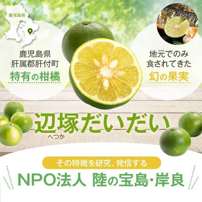 辺塚だいだい 青果 10kg 鹿児島 国産 橙 柑橘 果物 フルーツ【NPO法人 陸の宝島・岸良】A20008