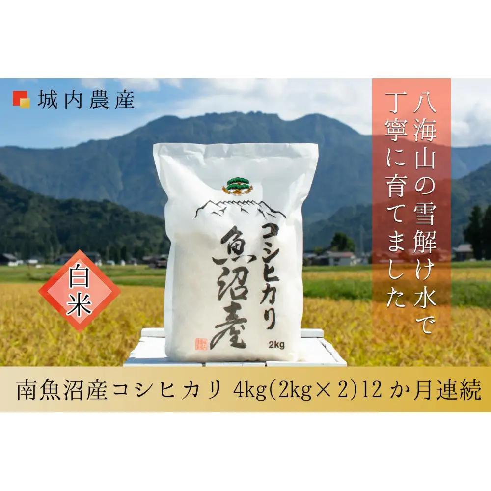 【令和８年新米予約】城内農産 【お米定期便/全１２回】南魚沼産コシヒカリ　白米４kg（２ｋｇ×２）＜5割減農薬栽培米＞｜定期便【2026年9月下旬から1ヶ月以内に順次発送予定】