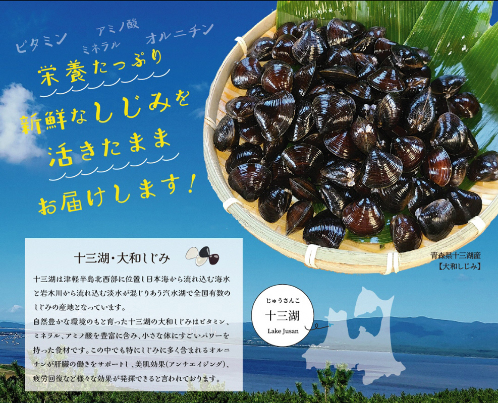 [令和7年1月第4日曜日配達] さとうしじみ屋の十三湖産活しじみ(中粒2kg)[冷蔵]｜十三湖産 青森 津軽 つがる しじみ みそ汁 味噌汁 しじみ汁 活しじみ 冷蔵 [0586]