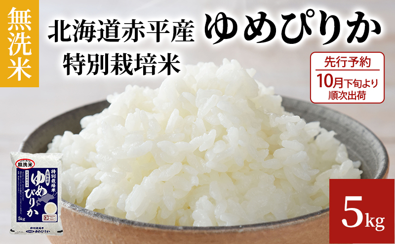 【先行予約2024年産米・10月下旬より順次出荷】無洗米 北海道赤平産 ゆめぴりか 5kg 特別栽培米 米 北海道