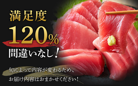 【定期便6ヶ月】まぐろや　特別セット【ふるさと納税】【まぐろ 鮪 本鮪 サーモン 海老 お刺身 海鮮 セット 福袋 キンメ きんめ お取り寄せ 御中元 お中元 お歳暮 父の日 母の日 贈り物 日本酒 