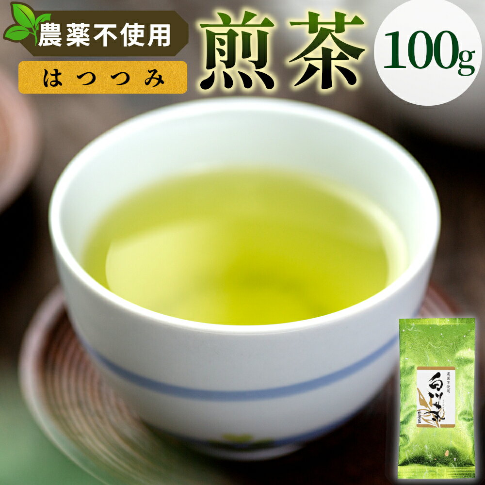 【ふるさと納税】農薬不使用！煎茶 はつつみ 100g 常磐園 白川茶 美濃白川茶 日本茶 緑茶 煎茶 茶葉 お茶 一番茶 春摘み リーフ 国産 お試し 岐阜県 東白川村 走り新茶