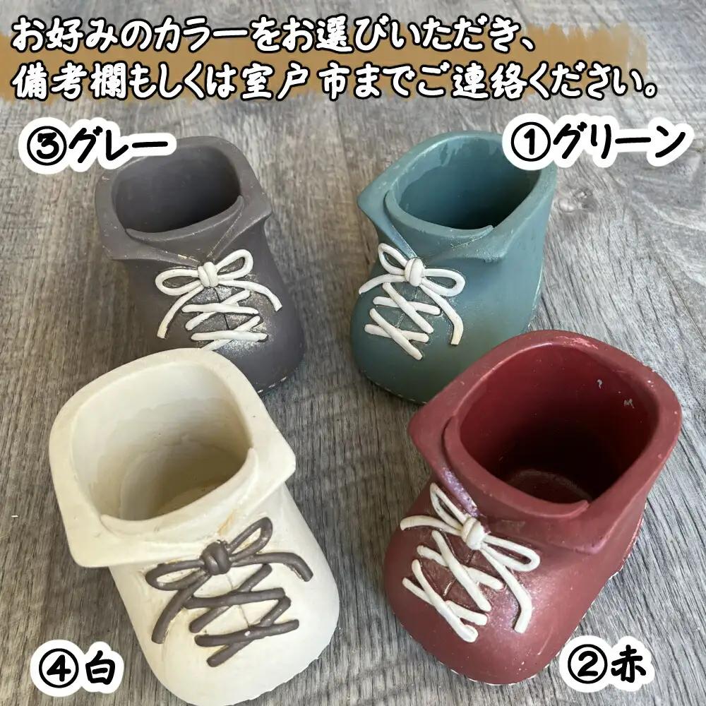 多肉植物の寄せ植えセット5本～10本