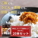 【ふるさと納税】BBQしたくて生姜ねぇ!!かけタレ20本セット 【しょうが 国産 醤油漬け バーベキュー 焼肉 たれ ごはんのお供 お弁当 調味料 おつまみ 肴 薬味 隠し味 猪苗代町 福島県】