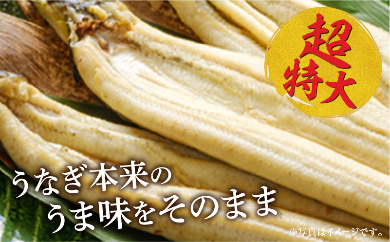 うなぎ白焼(超特大サイズ) 2尾 うなぎ ウナギ 鰻 白焼 超特大 特大 2尾 たれ タレ 鰻のタレ うなぎのタレ 惣菜 贈答 贈り物 ギフト プレゼント ご褒美 手土産 お祝い 内祝い 土用丑の日 
