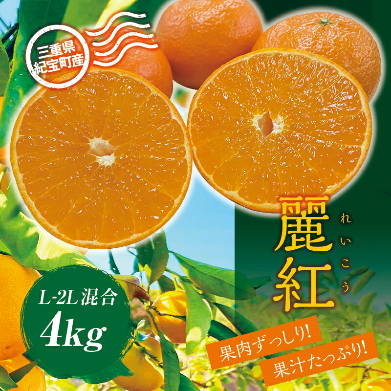 【ふるさと納税】 麗紅 萩野農園の 麗紅 (れいこう) 4kg L-2L サイズ混合 【2026年1月末から2月末までに順次発送】 みかん ミカン 蜜柑 フルーツ 果物 くだもの 産地直送 甘い ジューシー 数量限定 送料無料