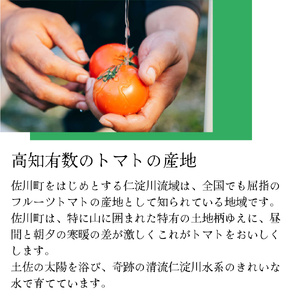 【ふるさと納税】 定期便3回【 2026年12月下旬～順次発送 】＜フルーツトマト 原田農園 約800g 小箱＞桃太郎 【常温】送料無料 