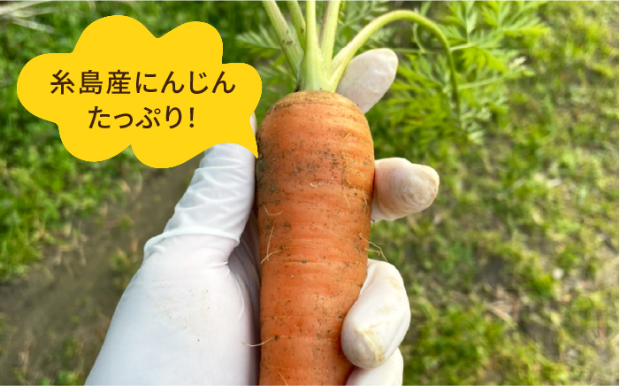 糸島そだちのにんじん 生ドレッシング（285ml×1本）【農香美人】 [AAG014]