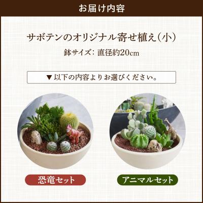 ふるさと納税 小牧市 サボテンのオリジナル寄せ植え(小)【恐竜セット】(観葉植物・多肉植物)[133O03-01] |  | 03