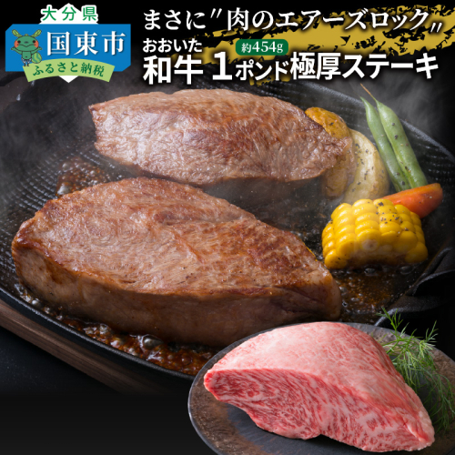 【A4～A5等級】まさに〃肉のエアーズロック〃おおいた和牛１ポンド極厚ステーキ_29365A