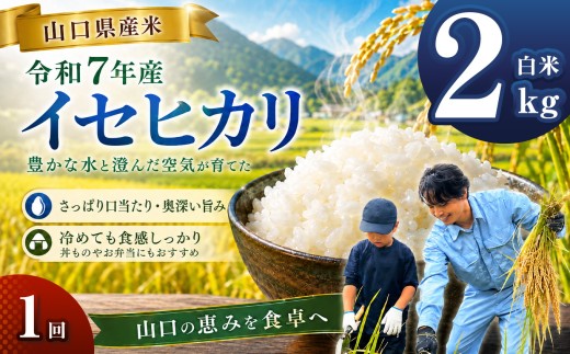令和7年産 山口県産米 イセヒカリ 2kg ｜ 令和7年産 イセヒカリ 山口県産米 こめ お米 コメ 白米 山口県 平生町