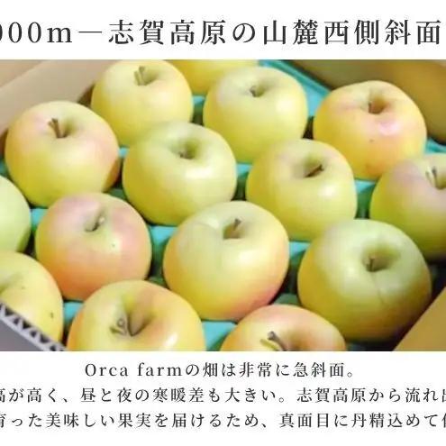 りんご ぐんま名月 家庭用 10kg りんご