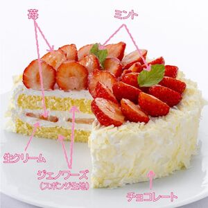 ケーキ エクラン・ビジュー 苺のケーキ 5号 苺ケーキ ホール ストロベリーケーキ ショートケーキ いちご スイーツ お菓子 菓子 焼き菓子 焼菓子 洋菓子 フルーツ 果物 ギフト 兵庫 兵庫県 姫路