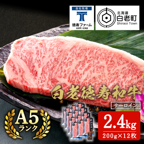 白老牛 サーロイン ステーキ 200ｇ×12枚 （2.4kg） 特製ソース付き 和牛 牛肉 ギフト 北海道＜徳寿＞