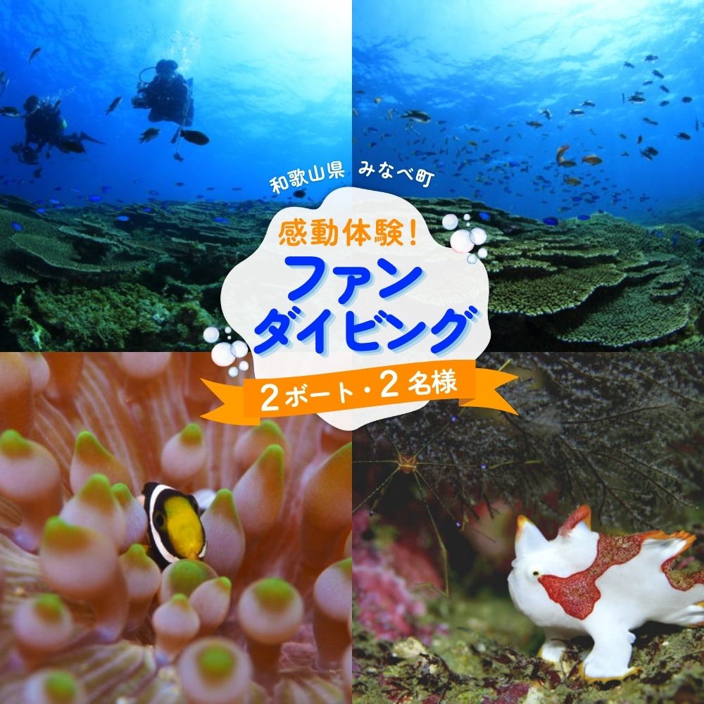 【ふるさと納税】 和歌山県みなべ町で感動体験！サンマリン ファンダイビング（2ボート・2名様） | みなべ町 ダイビング 体験