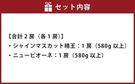 葡萄詰合せ（シャインマスカット 晴王 1房（580g以上）・ニューピオーネ 1房（580g以上） ハウス栽培【2026年7月上旬～8月上旬まで順次発送予定】葡萄 ぶどう ブドウ ピオーネ マスカット