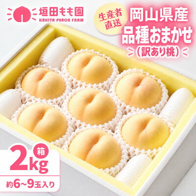 【ふるさと納税】【2027年7月下旬より順次発送予定】岡山の桃　品種おまかせ『訳あり桃』　2kg箱(約6～9玉入り)【配送不可地域：離島・北海道・沖縄県】【1715289】