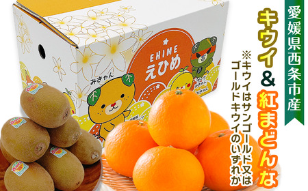 【先行予約】サンゴールドまたはゴールドキウイと紅まどんなのセット　11月下旬～12月発送