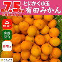 【ふるさと納税】みかん とにかく小玉 箱込 7.5kg (内容量約 6.8kg) 2Sサイズ以下 秀品 優品 混合 有田みかん 和歌山県産 産地直送 家庭用 【みかんの会】　 | フルーツ 果物 くだもの 食品 人気 おすすめ 送料無料