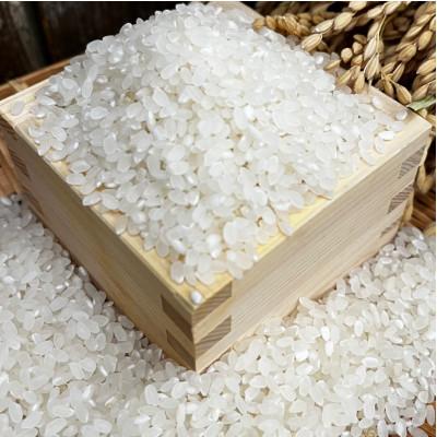 ふるさと納税 千早赤阪村 《2kg(500g×4)》千早赤阪村産　棚田の米粉　グルテンフリー |  | 01