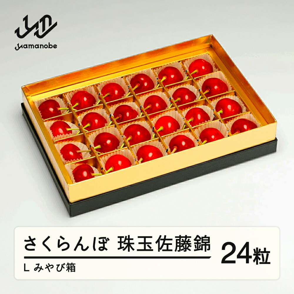 【ふるさと納税】 《先行予約》 2026年 山形県産 珠玉佐藤錦 みやび箱24粒 やまのべ多田耕太郎のさくらんぼ サクランボ 送料無料 F20A-039