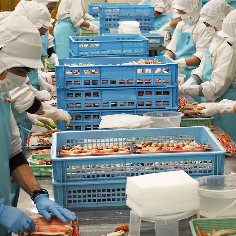 ボイル たらばがに 足 1kg カット済 ハーフポーション かに _AP028