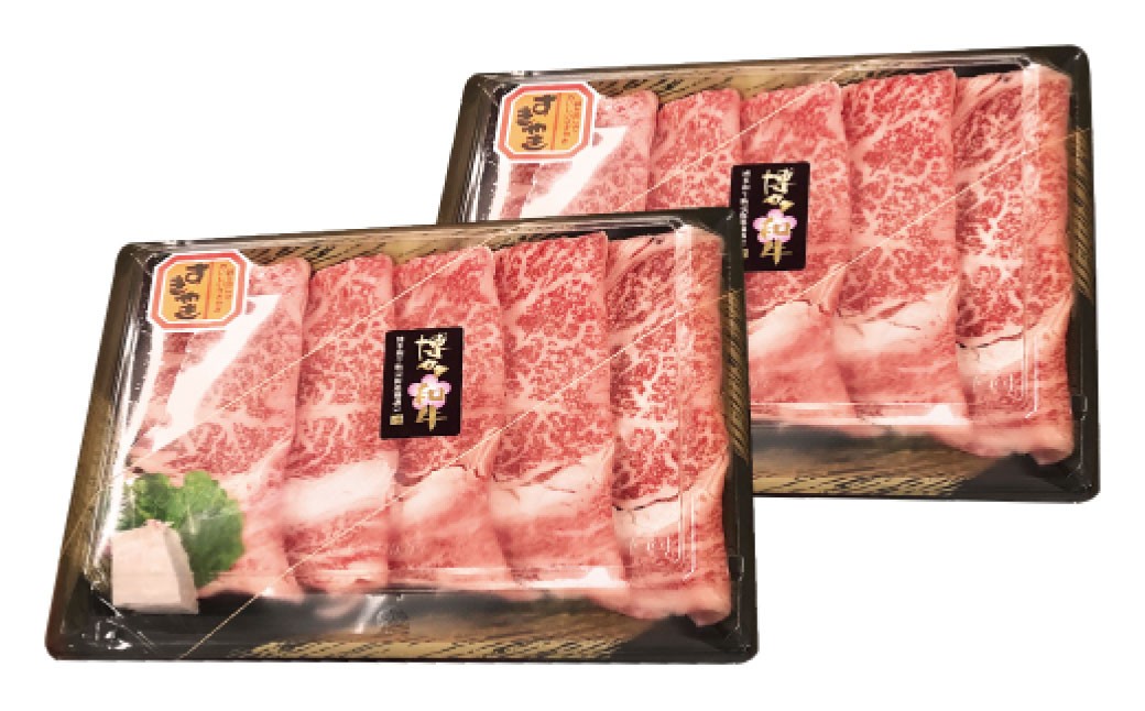 博多和牛サーロイン薄切り肉（約350g×2パック）