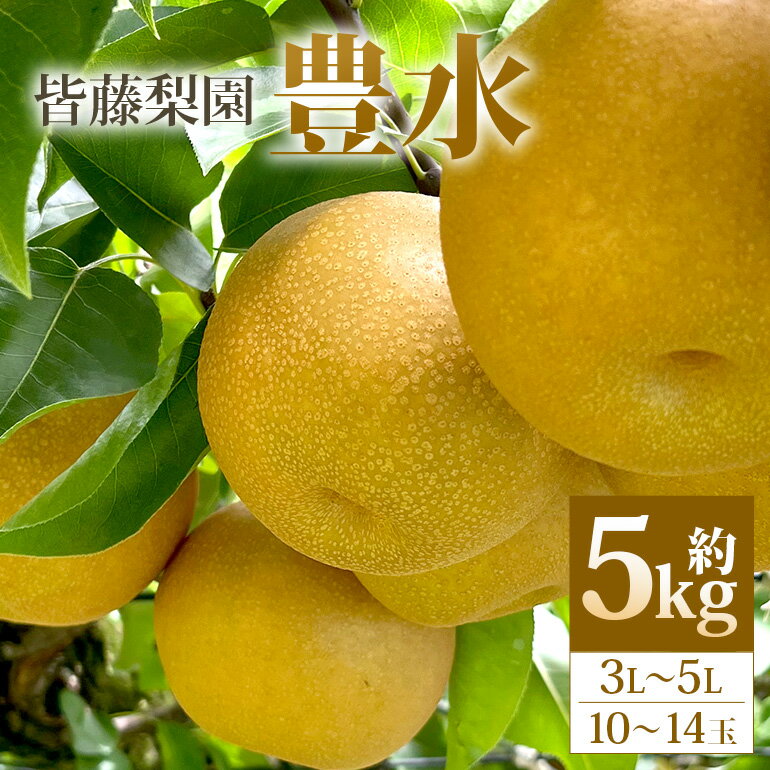 【ふるさと納税】【数量限定・先行予約】豊水（約5kg/3L〜5L/10〜14玉） 梨 豊水 果物 なし ナシ ほうすい くだもの フルーツ 皆藤梨園 【8月下旬以降発送予定】 75-B