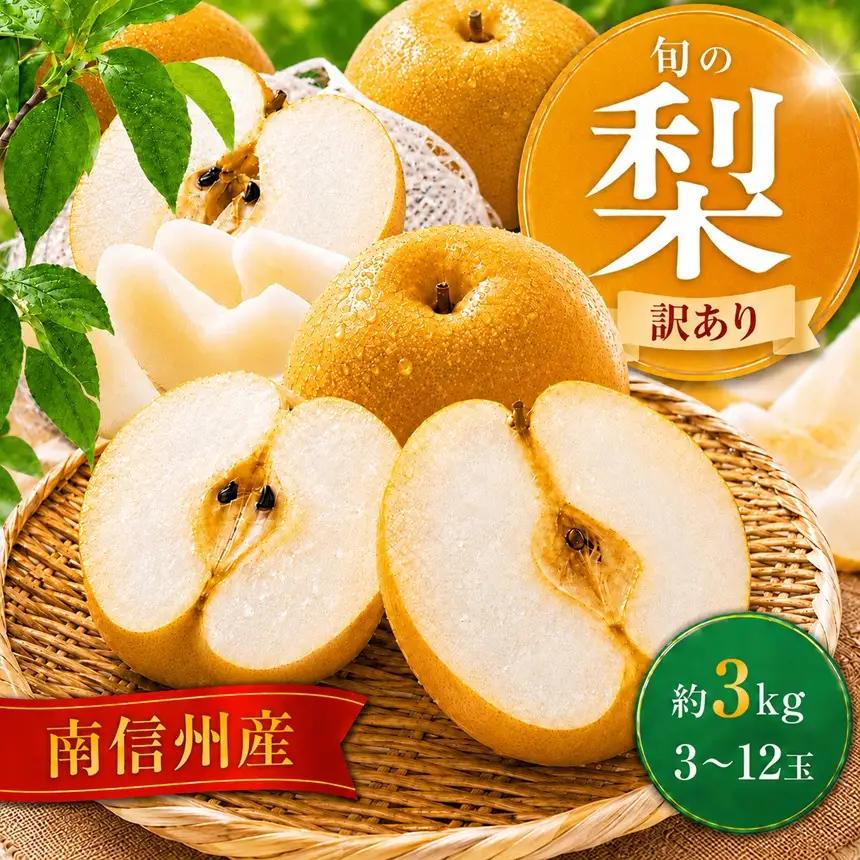 南信州産 訳あり 梨 約3kg 【2026年先行予約】