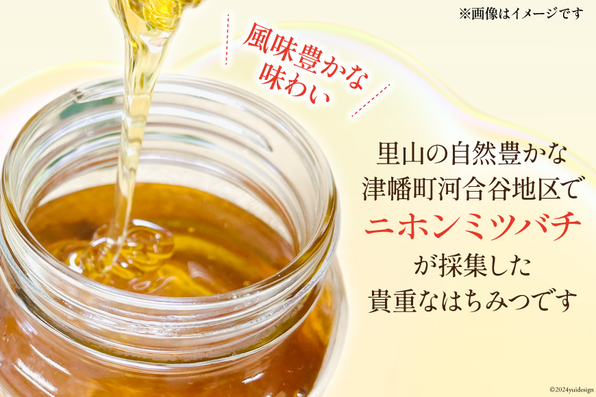 はちみつ 国産 純粋はちみつ 里山ひめみつ 250g 1瓶 [里山養蜂 坂本稔 石川県 津幡町 tb17nir80002] ふるさと納税 蜂蜜 ハチミツ ハニー 蜜 無調整 純粋