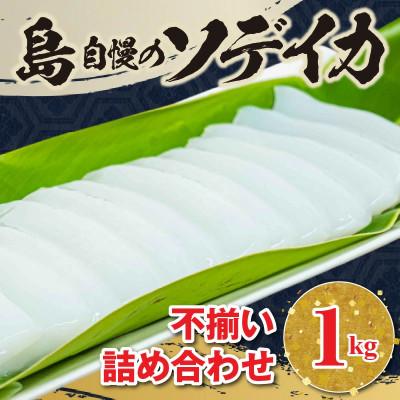 ふるさと納税 知名町 沖永良部島 イカの王様!ソデイカ 1kg