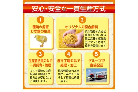 i018 安心安全の国産鶏肉！南国元気鶏セット(5種・計1.55kg)【マルイ食品】