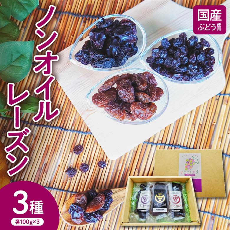 米沢市産 常温乾燥 ノンオイル レーズン 3種 セット (シャインマスカット・ピオーネ・デラウェア) 各 100g × 3種類 ドライレーズン ドライフルーツ 干し ぶどう 国産 おつまみ おやつ 送料無料 山形県 米沢市