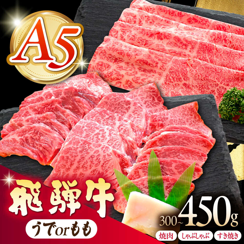 【ふるさと納税】《冷蔵》【選べる内容量・種類】 飛騨牛 うでorもも 焼肉用 しゃぶしゃぶ用 すき焼き用 300g 450g 多治見市 / 肉の沖村 A5 牛肉 ギフト 贈り物[THI007]