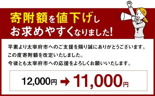 【訳あり】「寄附額改定↓」やまや 熟成無着色 辛子明太子 切子 冷凍 1kg (1000g)