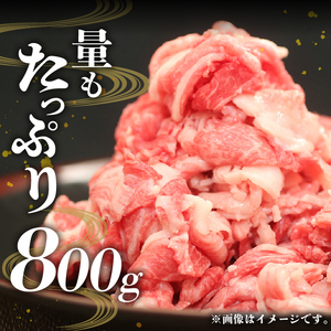 【冷凍】前沢牛 切り落とし 800g 複数部位 ミックス 赤身 サシ 極上品 さまざまな味わい 焼肉 ごはん おかず クール便 [BT014]