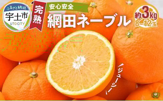 
            101-16 村田果樹園　減農薬で安心安全な完熟網田ネーブル　約3kg（8玉～12玉）
          
