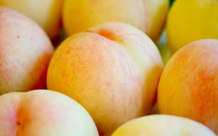 もっとも旬な桃をお届け 岡山の桃 3.6キロ【2026年6月下旬～9月下旬まで順次発送予定】【桃 人気フルーツ 人気桃 おすすめフルーツ 岡山桃 岡山フルーツ 岡山県 倉敷市】