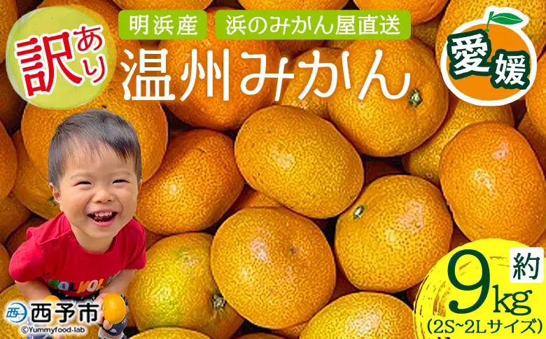 ＜訳あり 温州みかん 約9kg＞ 明浜産 果物 フルーツ 蜜柑 うんしゅうみかん ウンシュウミカン 柑橘 家庭用 浜のみかん屋 直送 愛媛県 西予市【常温】『2026年11月上旬～2026年12月中旬迄に順次出荷』AHM0001